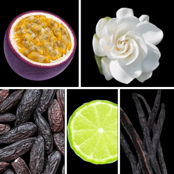 Duftnoten: Passionsfrucht, Gardenie, Vanille, Tonkabohne, Bergamotte